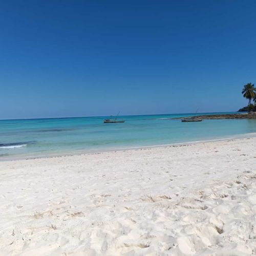 Colonie de vacances à l'étranger