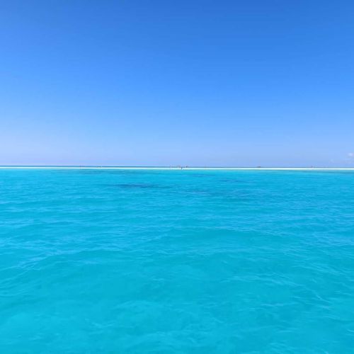 Colonie de vacances à l'étranger