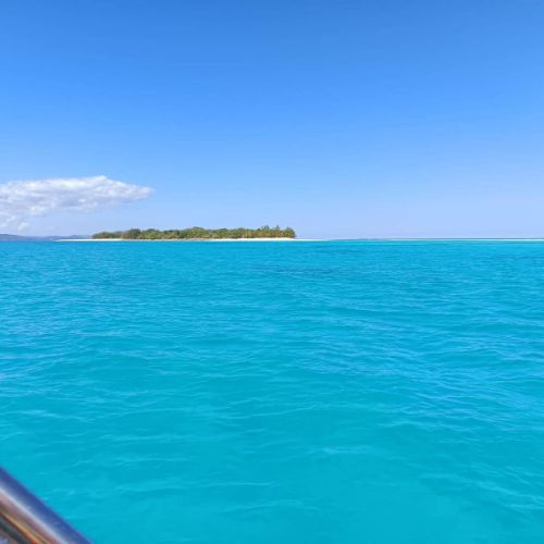 Colonie de vacances à l'étranger